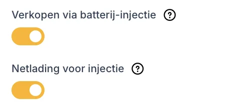 Two settings in Dutch, selling through battery injection and grid charging for injection, both switched on.